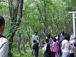 学校の裏山に設置したコウモリのねぐら箱の観察